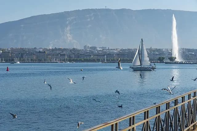 Guide d'achat des meilleures chasses d'eau